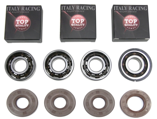 Lejesæt komplet hel motor Racing Viton