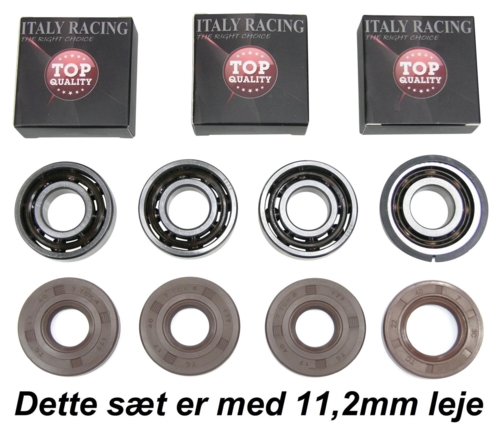 Lejesæt komplet hel motor Race Topracing/Rito Viton